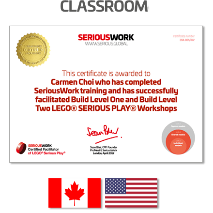 LEGO® Serious Play® Facilitator Training US - Core Skills. Full Payment & Books Download