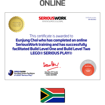 Online LEGO® Serious Play® Facilitator Training SA - Full Fee + Books Download & LEGO Bricks COPY