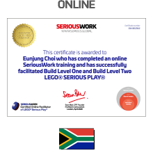 Online LEGO® Serious Play® Facilitator Training SA - Full Fee + Books Download & LEGO Bricks