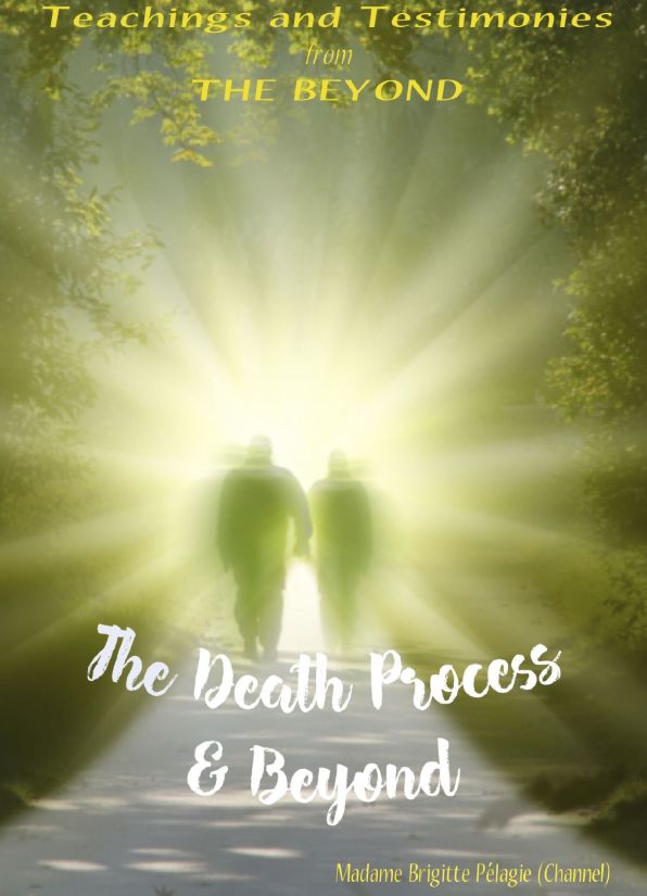 The Light Room Press Bookstore | The Death Process & Beyond – print