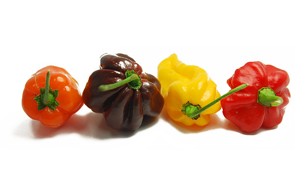 World S Hottest Chilli Seeds Seriously Hot Varieties
